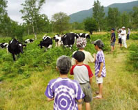 乗鞍高原一ノ瀬園地